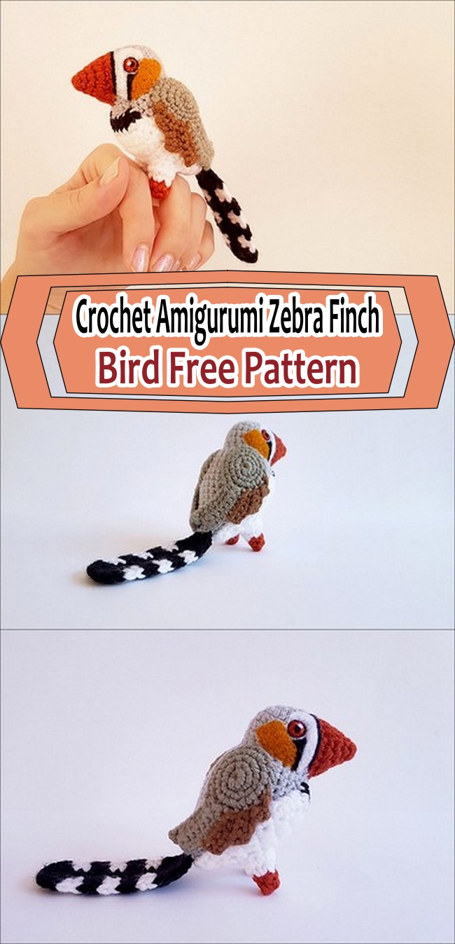 Crochet Amigurumi Zebra Finch Bird Free Pattern