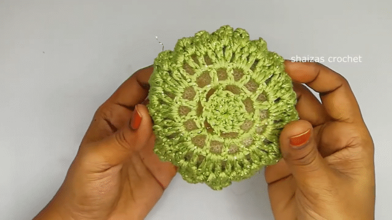 Trendy & Adorable Ideas Crochet Hair Bun Nets Collection Patterns
