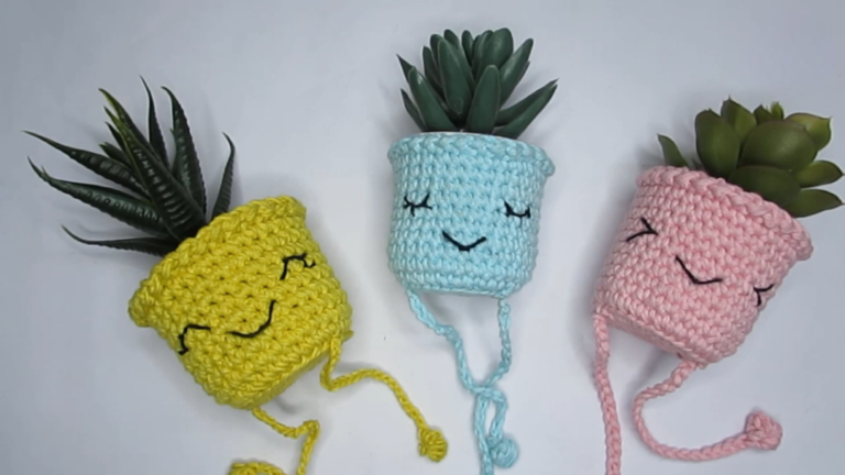Cozy Crochet Plant Pot Covers to Elevate Your Home Decor