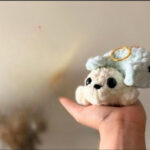 Crochet Baby Seal Keychain Amigurumi Pattern for Everyday Charm