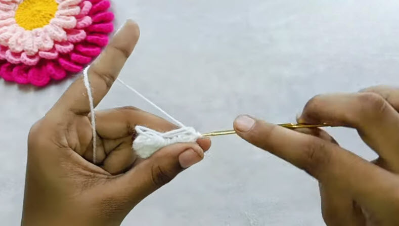 Forming petal shape with chain and treble crochet