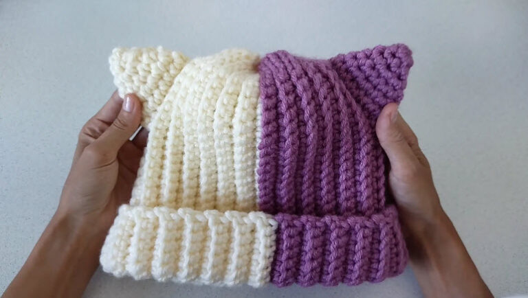 Crochet Cat Ear Beanie Pattern in Two Colors